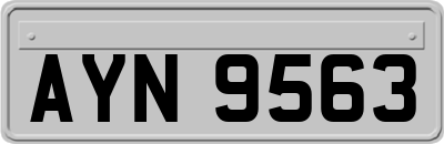 AYN9563