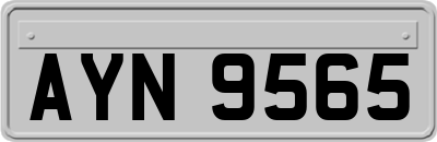 AYN9565