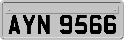 AYN9566