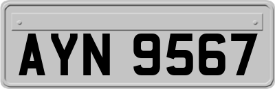 AYN9567