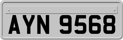 AYN9568
