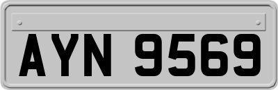 AYN9569