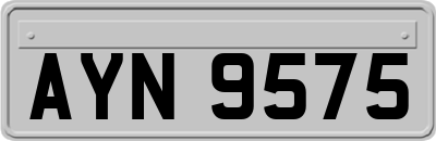 AYN9575
