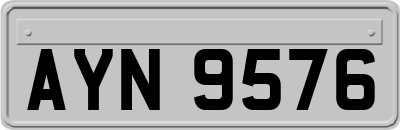 AYN9576