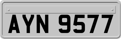 AYN9577