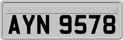 AYN9578