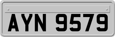 AYN9579
