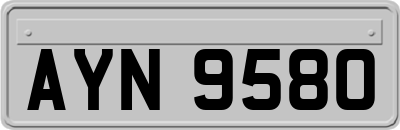 AYN9580