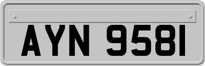 AYN9581