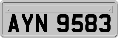 AYN9583