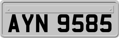 AYN9585