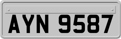 AYN9587