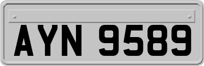 AYN9589