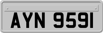 AYN9591