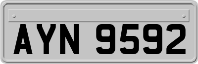 AYN9592