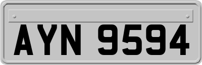AYN9594
