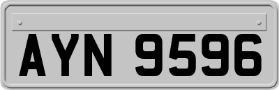 AYN9596