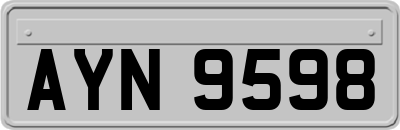 AYN9598