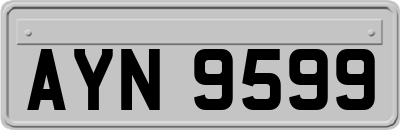 AYN9599