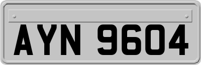 AYN9604