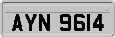 AYN9614