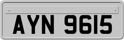 AYN9615