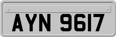 AYN9617
