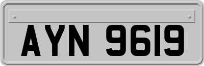 AYN9619