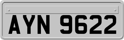 AYN9622