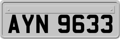AYN9633