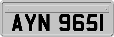 AYN9651