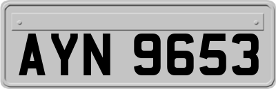 AYN9653