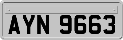 AYN9663