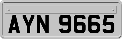 AYN9665