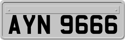 AYN9666