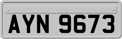 AYN9673