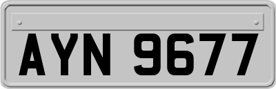 AYN9677