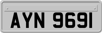 AYN9691