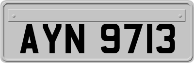 AYN9713