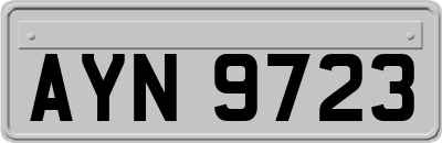 AYN9723