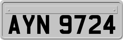 AYN9724