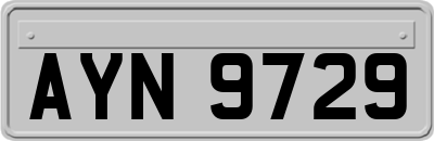 AYN9729