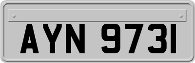 AYN9731