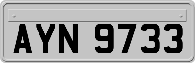AYN9733
