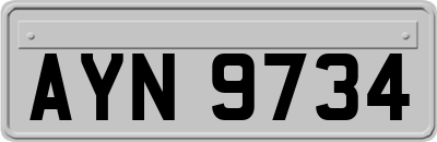 AYN9734