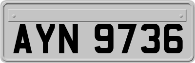 AYN9736