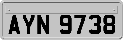 AYN9738