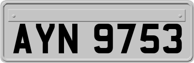 AYN9753