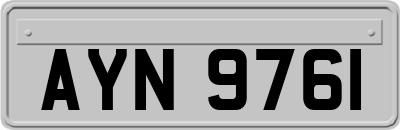 AYN9761