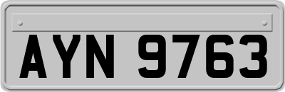 AYN9763